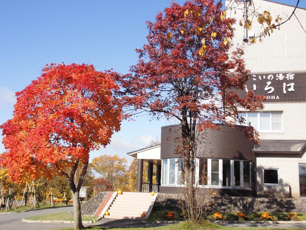 Niseko Hot Spring Ikoino Yuyado Iroha Hotel Exterior foto